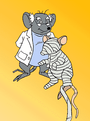 THE INVISIBLE MOUSE