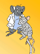 THE INVISIBLE MOUSE